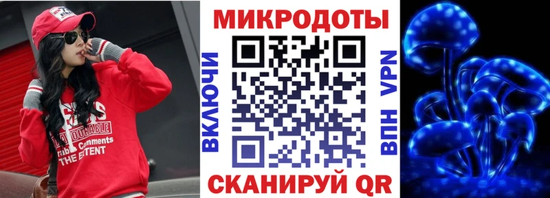 Псилоцибиновые грибы Psilocybe  ОМГ ОМГ   Кандалакша 